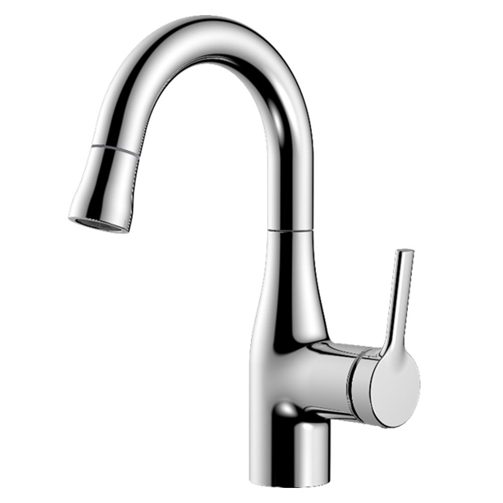 Two-Function Pull-Out Basin Faucet