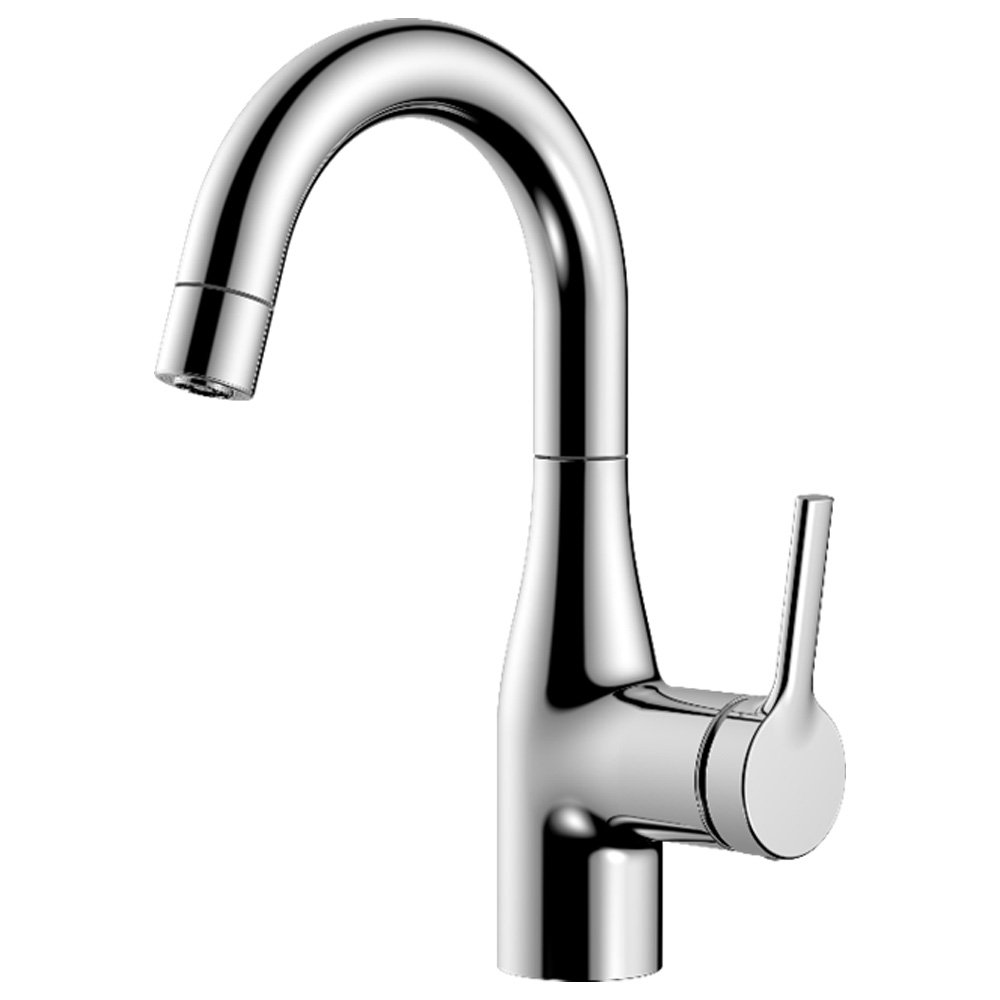 Two-Function Basin Faucet