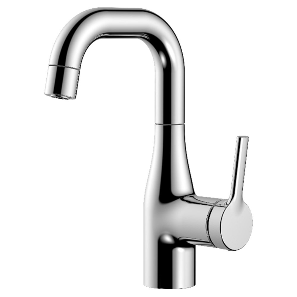 Two-Function Basin Faucet