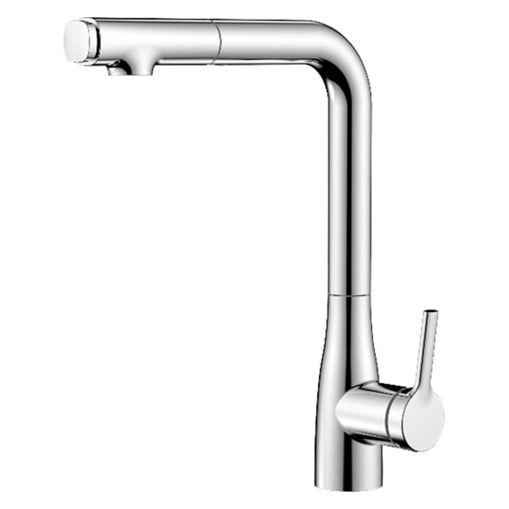 Two-Function Pull-Out Kitchen Faucet